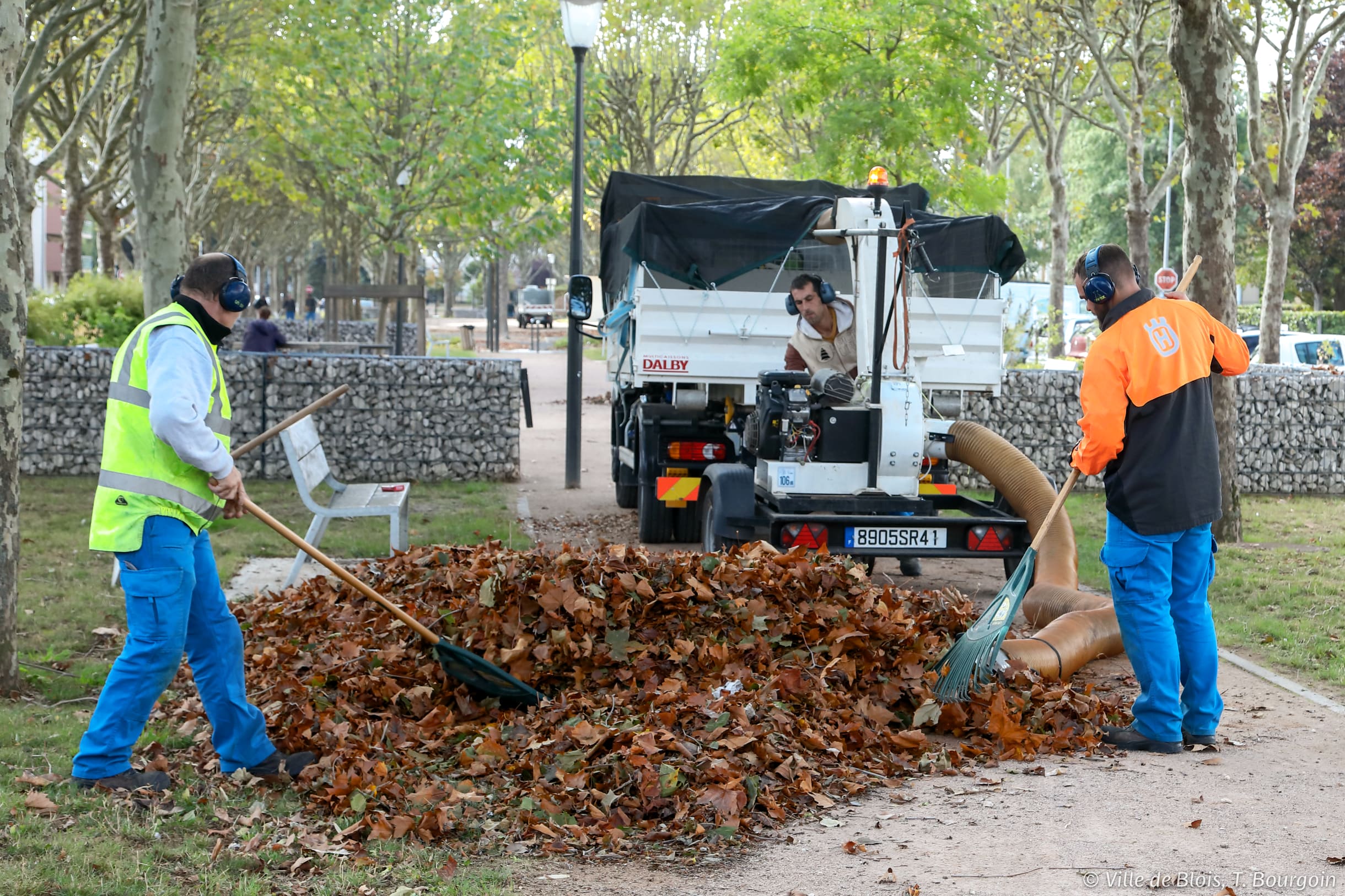 Le ramassage des feuilles mortes : mode d'emploi