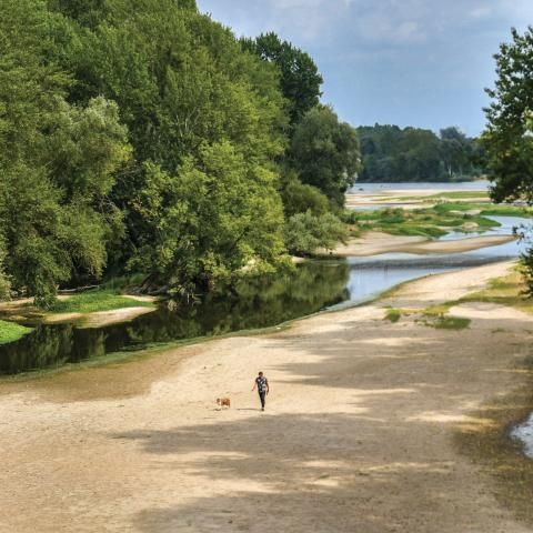 Un bras de la Loire asséché, sur lequel se balade un promeneur avec un chien.