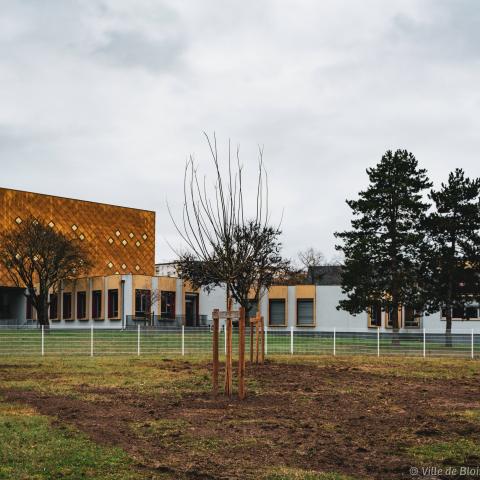 Des jeunes arbres côtoient des plus anciens sur une pelouse près de la médiathèque Maurice-Genevoix et du gymnase Moussa-Traoré.